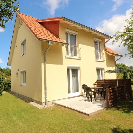 Ahorn Mit Garten In