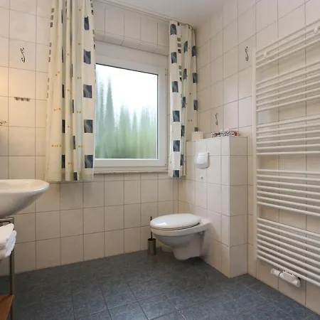 Ahorn Mit Garten In